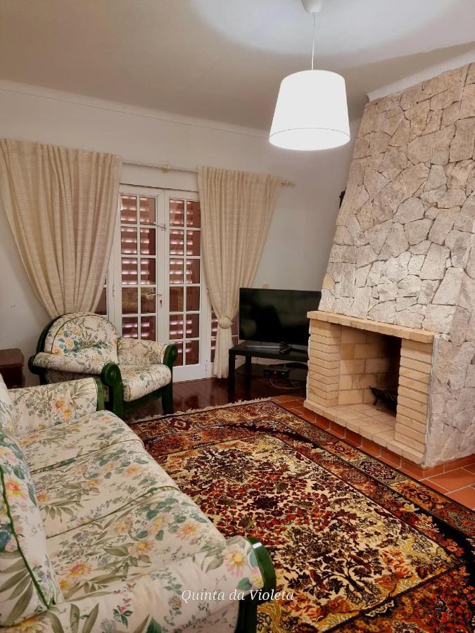 לואה Villa Quinta Da Violeta מראה חיצוני תמונה