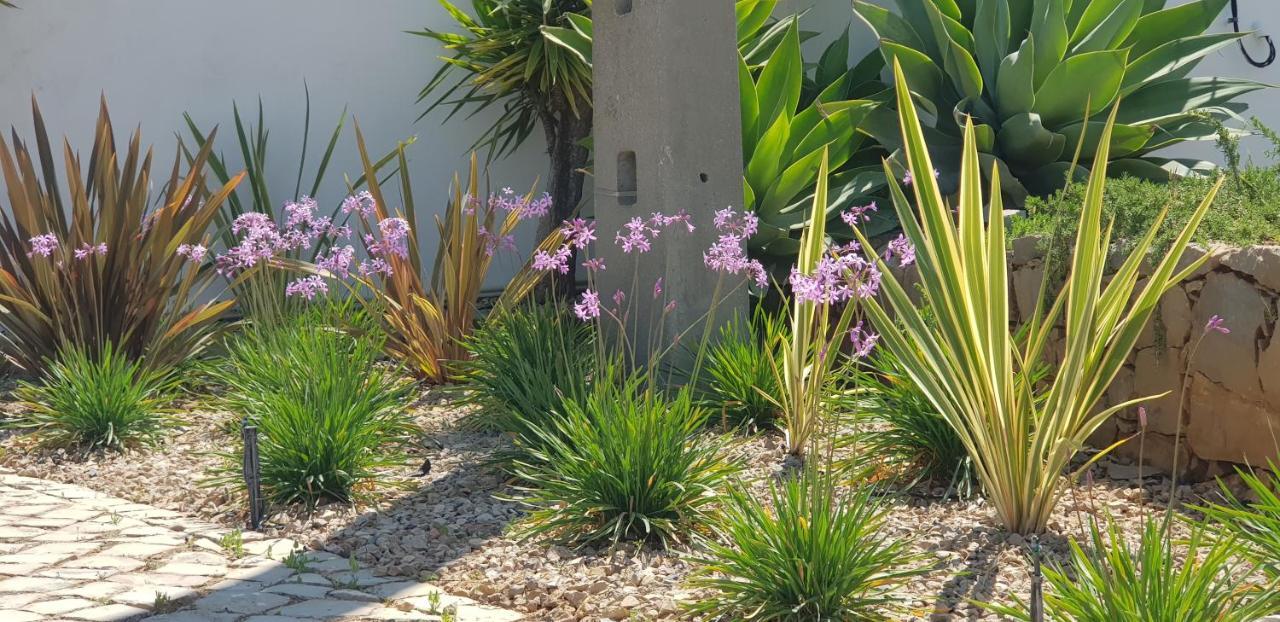 לואה Villa Quinta Da Violeta מראה חיצוני תמונה